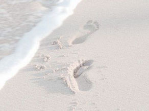 El arte de adaptarse