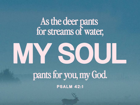 Quenching Our Spiritual Thirst