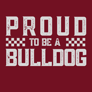 college, universities, SEC schools collegiate custom designed graphic tee tshirts football game day 