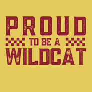 college, universities, SEC schools collegiate custom designed graphic tee tshirts football game day 