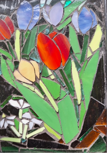 Spring tulips