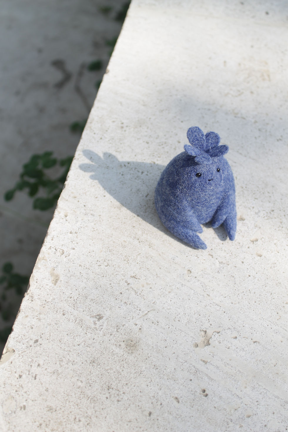 Thumbnail: Forget-me-not