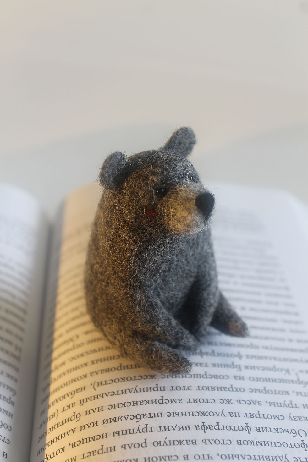 Thumbnail: Bear