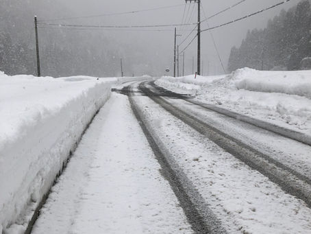 今年の雪は、すごい量です。