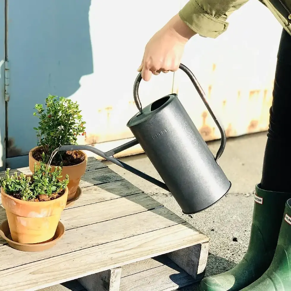 Tin Watering Can