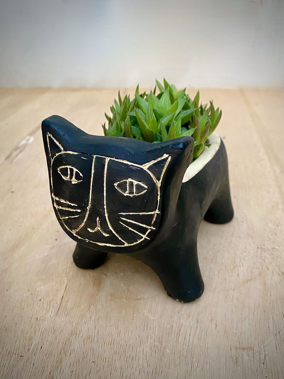 Thumbnail: Cat Planter with Haworthia