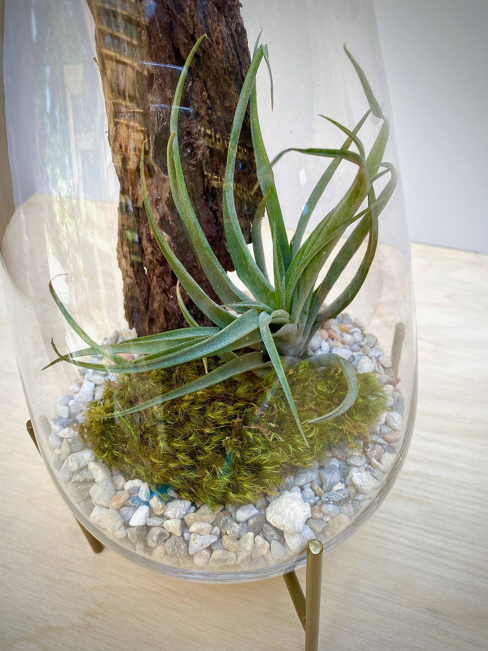 Thumbnail: Vase Aerium with Metal Stand