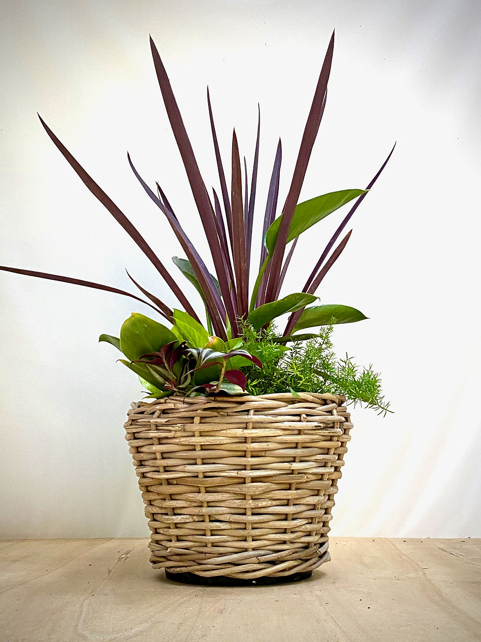 Thumbnail: Fall Woven Planter with Cordyline