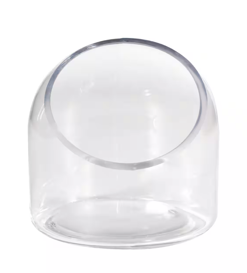 6" Open Side Dome Terrarium