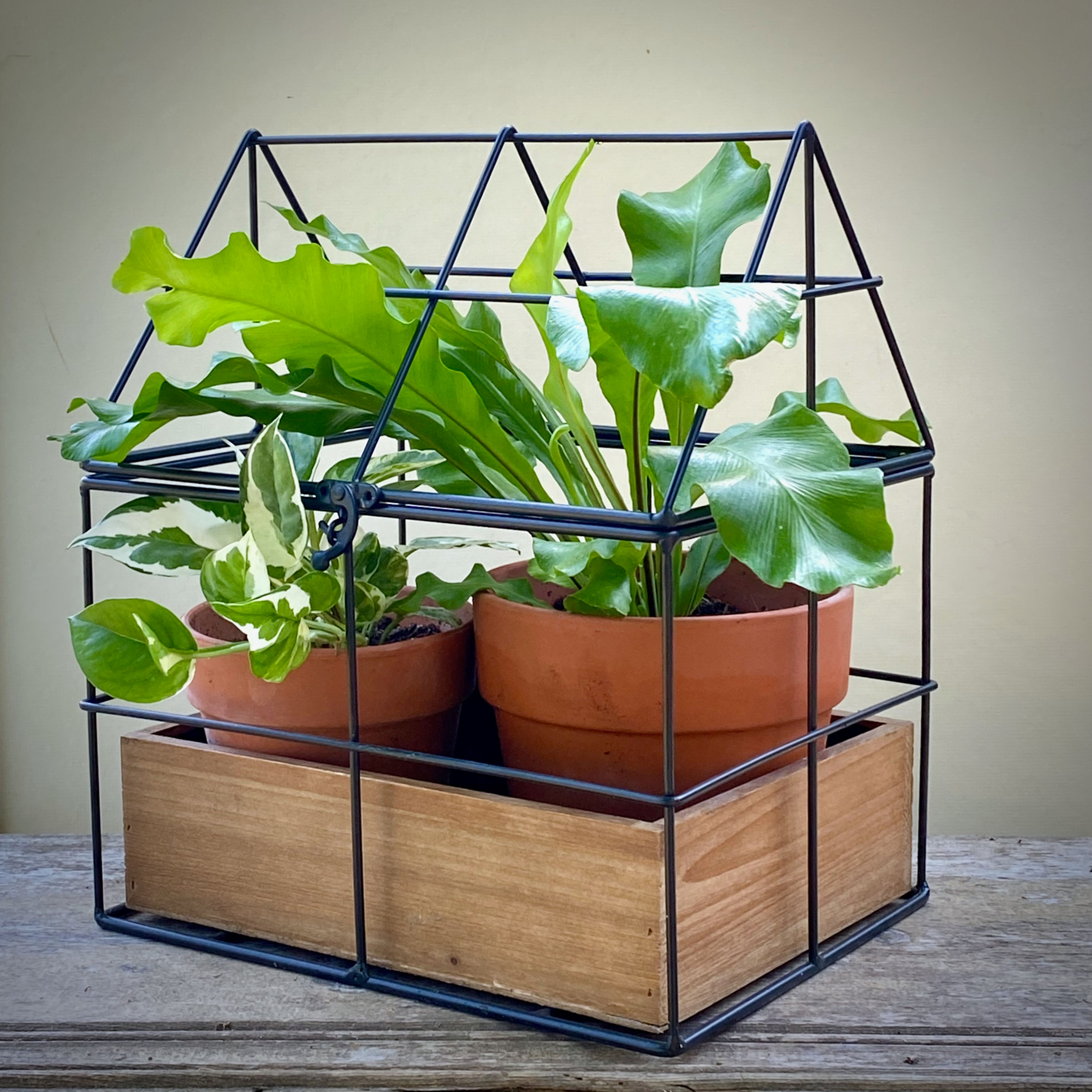 Wire Terrarium with Terracotta Pots