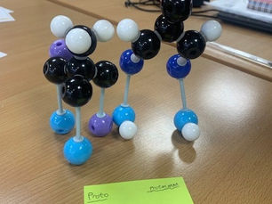 Engaging Year 8 Science Lessons that Spark Curiosity and Learning
