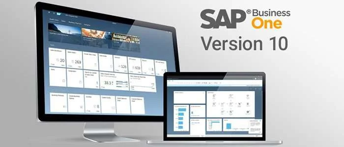Milner Browne Sap Business One Version 10