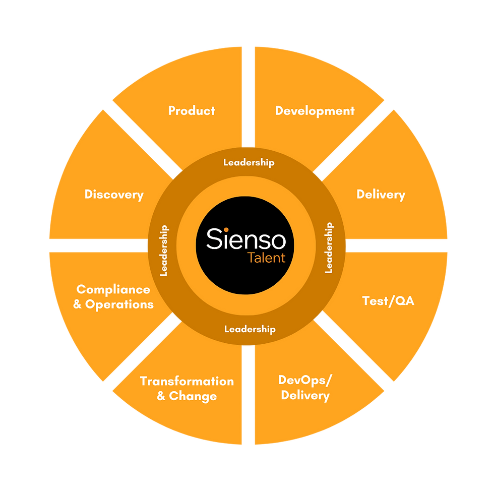 Sienso Talent Campaign Content Templates-2.png
