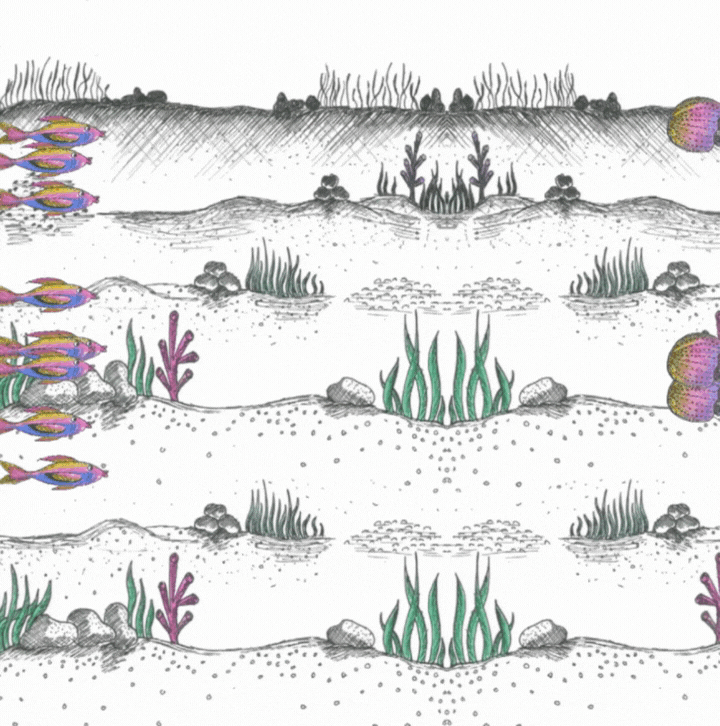 Des240 final drawing code.gif