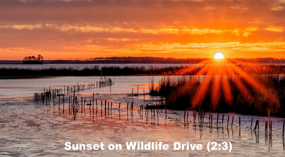 Thumbnail: Sunrises and Sunsets