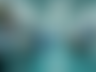 Urgent Fundraising for King Phattie's Critical Medical Needs Help Save Our Beloved Bichon