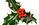 HollyNBG.png