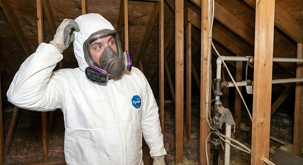 A person in a white Tyvek suit and respirator inspects an attic with wooden beams and exposed pipes, looking confused.