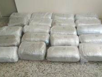 More than 300 kg of cannabis are seized in Kozana