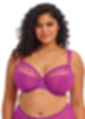 Elomi -  Soutien-Gorge Plunge armatures Matilda Violet Hollyhock