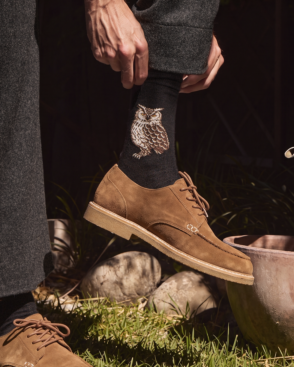 Thumbnail: Maison Broussaud – Chaussettes homme Le Hibou MBD379 – Noir