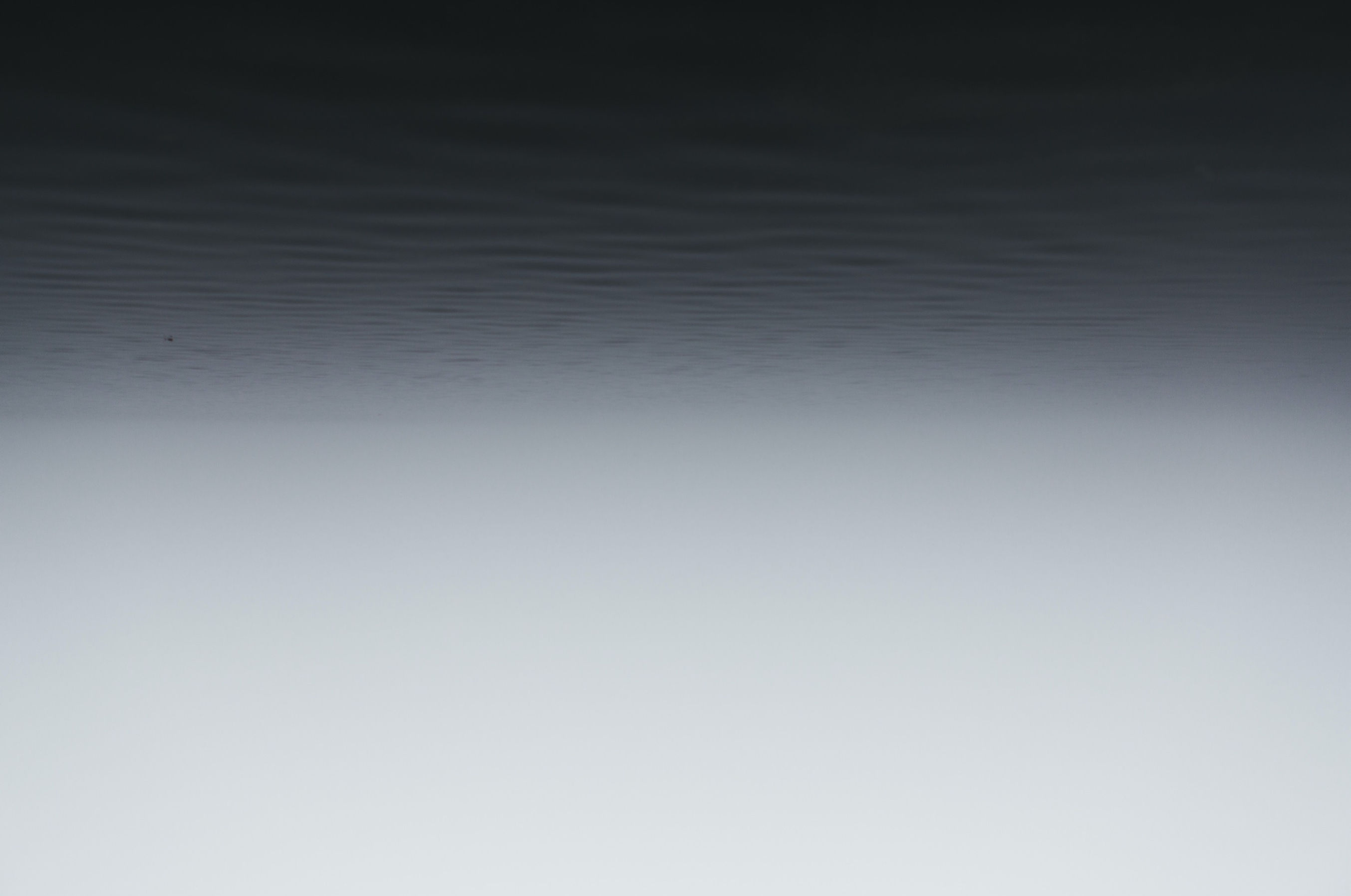 5420584-lake-still-grey-water-black-and-
