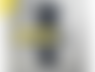 Exposition au Carré Saint Cyr 