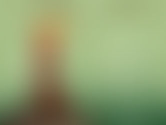 Tupiniers du vieux Lyon 10 et 11 Septembre 2022