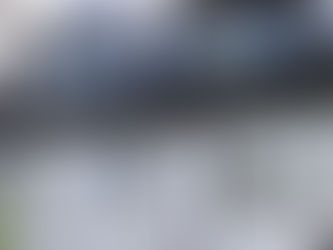 White house with large black-framed windows, a cleaning pole extends towards upper windows. Overcast sky with some visible foliage.