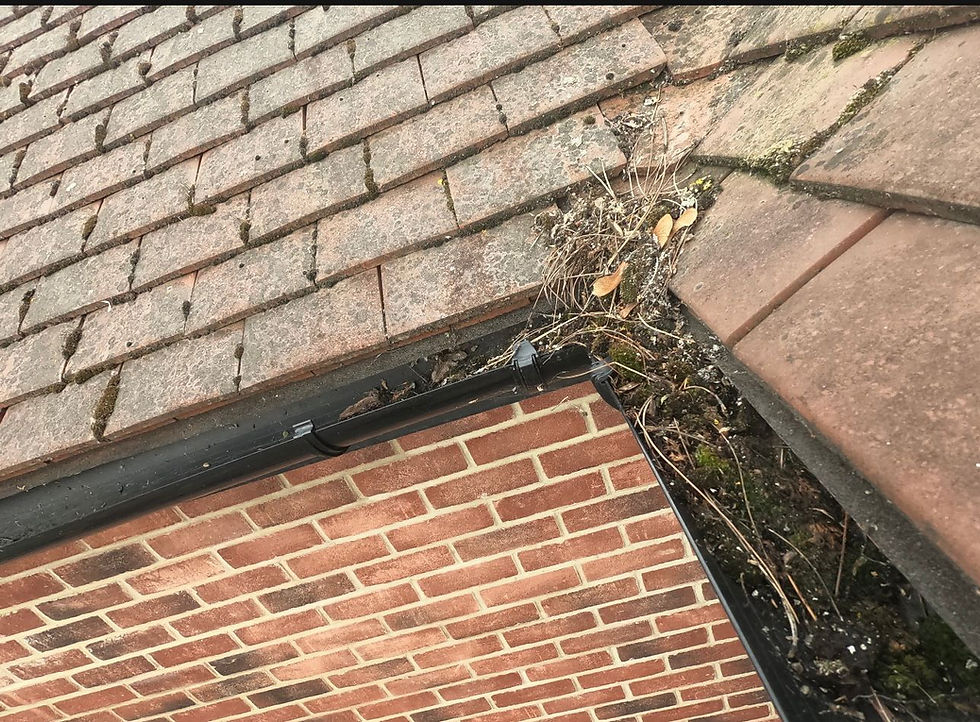 Close-up of weathered roof tiles and gutter blocked with moss and debris above a red brick wall.