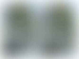 Two images showing a window frame. The top image, labeled "Before," is dirty with mould. The bottom, labeled "After," is clean and shiny.