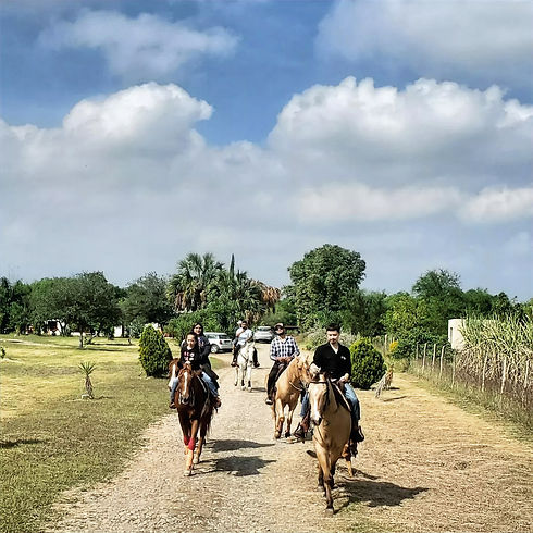 Dorado's Ranch, paseos a caballo
