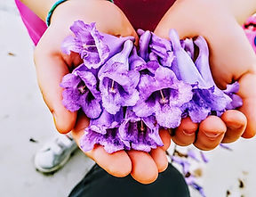 Regalo de flores violetas (2).jpg