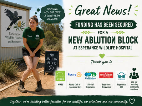 Piece by Piece: Building an Ablution Block for Esperance Wildlife Hospital