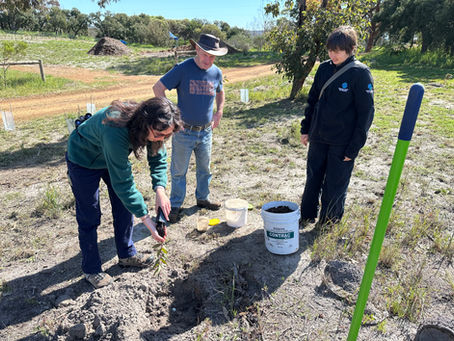 Esperance Wildlife Sanctuary Celebrates a Global Conservation Milestone