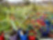 IMG_7247.jpeg