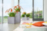 Lechuza planters 1.jpg