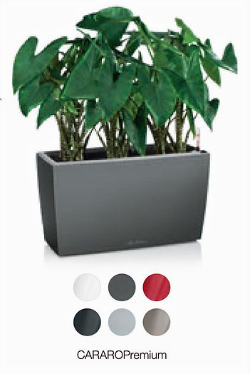 Screenshot 2025-12-31 at 14.43_edited.jp