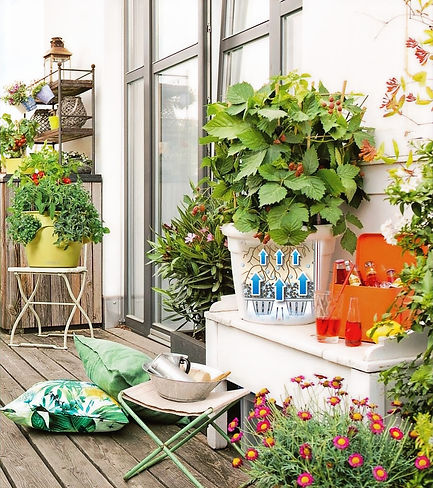 LECHUZA sub-irrigation system 3_edited.j