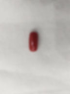 natural-red-coral-gemstone.webp