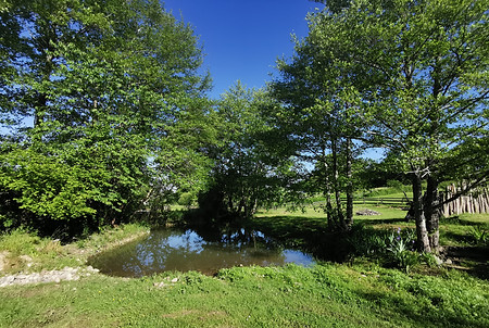 etang 8.jpg