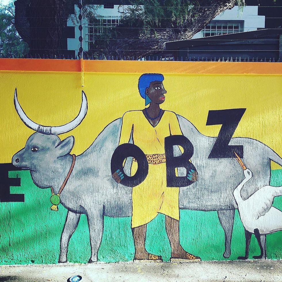 Obz Rainbow House
