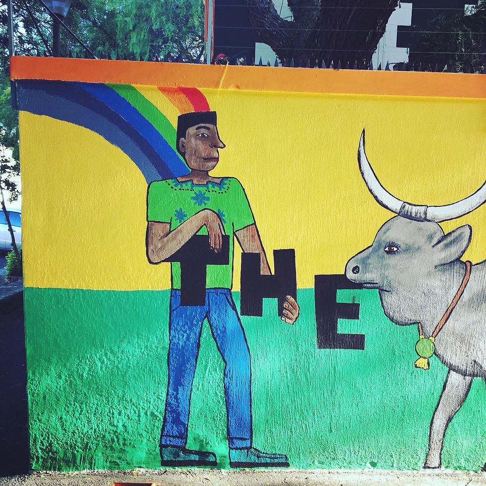 Obz Rainbow House