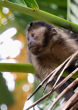 I spy with my little eye...