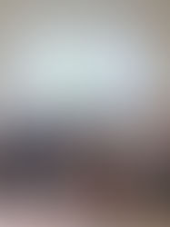 Groupe des secouristes