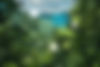 Forest & Tech Background Compressed.jpg