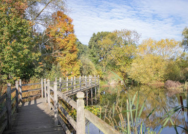 The lake at Layer Marney Tower