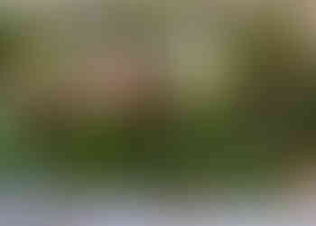Floral table decoration of red and white roses with pink carnations at Layer Marney Tower