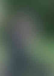 Wedidng photographer working at Sturmer Hall using a crystal ball