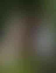 Bride taking a canape from a tray whilst holding a pint of guinness in her other hand